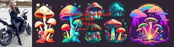 крисы Белокуриха