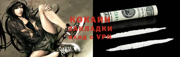 крисы Белокуриха