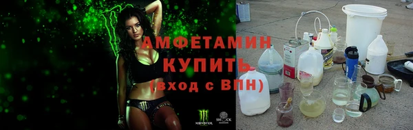 крисы Белокуриха