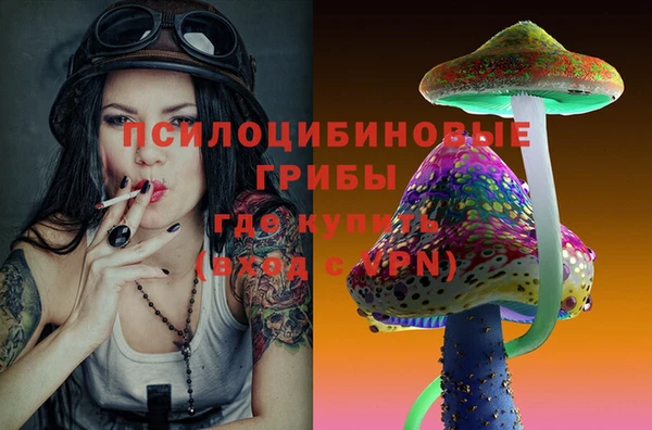 ECSTASY Беломорск