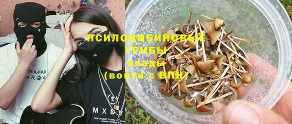 крисы Белокуриха