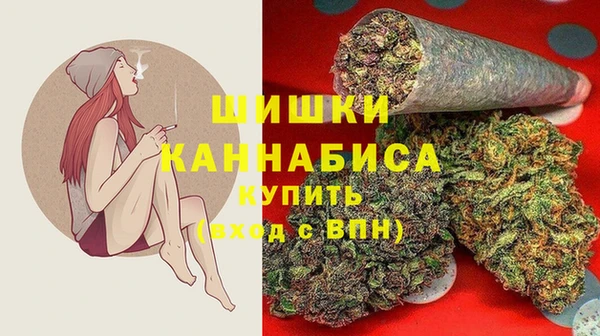 крисы Белокуриха